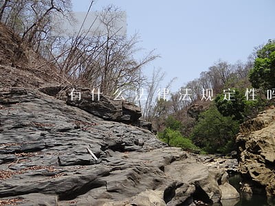 有什么法律法规定性吗 有什么法律法规定性吗