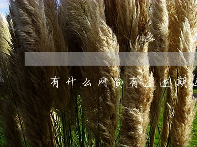 有什么网贷有过逾期还可以借钱 有什么网贷有过逾期还可以借钱
