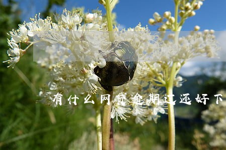 有什么网贷逾期过还好下款 有什么网贷逾期过还好下款