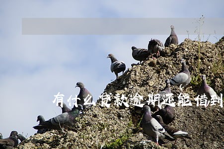 有什么贷款逾期还能借到钱 有什么贷款逾期还能借到钱