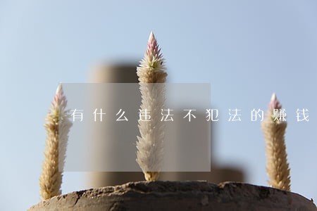 有什么违法不犯法的赚钱事情 有什么违法不犯法的赚钱事情