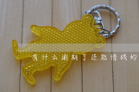 有什么逾期了还能借钱的口子 有什么逾期了还能借钱的口子