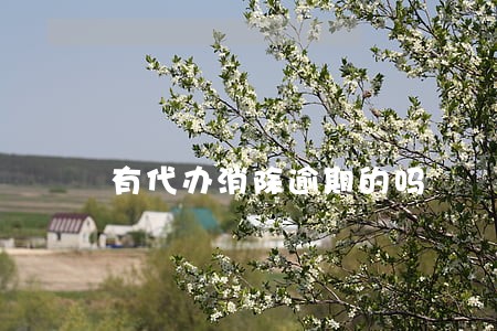 有代办消除逾期的吗 有代办消除逾期的吗