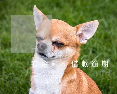 有余go借款逾期 有余go借款逾期