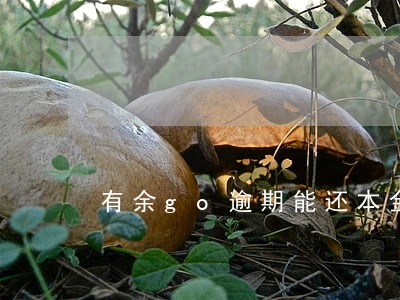 有余go逾期能还本金吗 有余go逾期能还本金吗