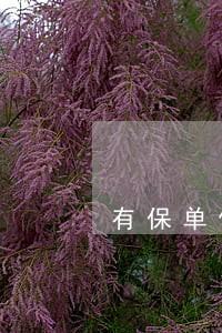 有保单但是有逾期能贷款吗 有保单但是有逾期能贷款吗