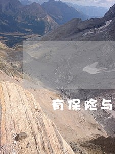 有保险与担保的借贷逾期怎么办