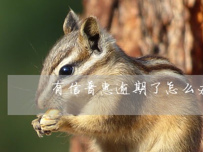 有信普惠逾期了怎么办 有信普惠逾期了怎么办