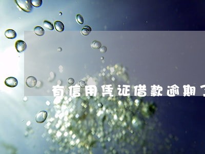 有信用凭证借款逾期了 有信用凭证借款逾期了