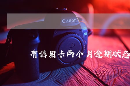 有信用卡两个月逾期状态 有信用卡两个月逾期状态