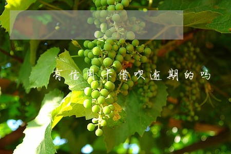 有信用卡借呗逾期的吗 有信用卡借呗逾期的吗