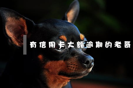 有信用卡大额逾期的老哥吗 有信用卡大额逾期的老哥吗