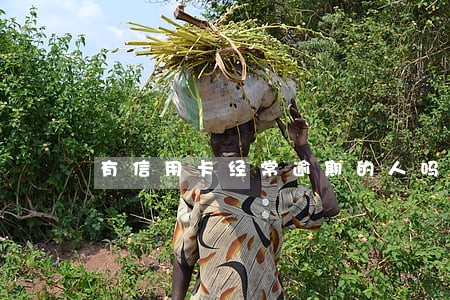 有信用卡经常逾期的人吗 有信用卡经常逾期的人吗
