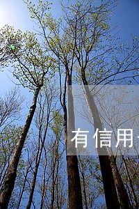 有信用卡逾期10天影响房贷 有信用卡逾期10天影响房贷