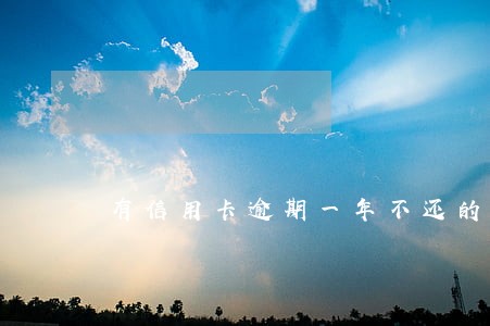 有信用卡逾期一年不还的