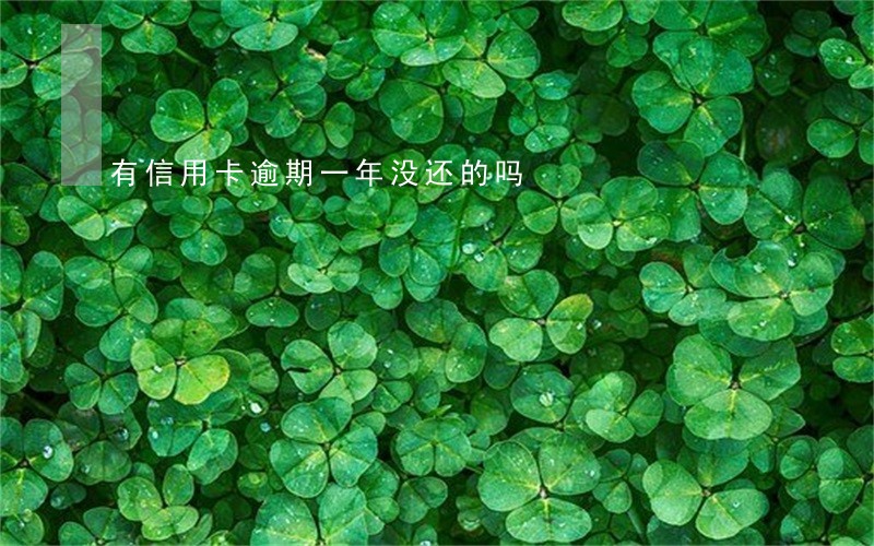 有信用卡逾期一年没还的吗 有信用卡逾期一年没还的吗