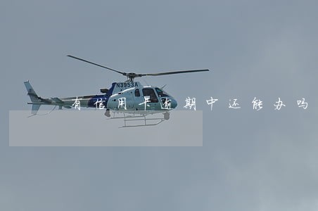 有信用卡逾期中还能办吗 有信用卡逾期中还能办吗
