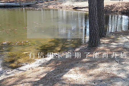 有信用卡逾期了能再办信用卡吗 有信用卡逾期了能再办信用卡吗