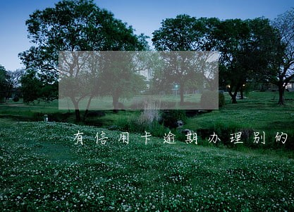 有信用卡逾期办理别的银行