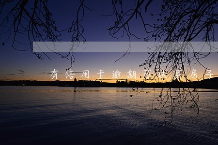 有信用卡逾期可以买房子吗 有信用卡逾期可以买房子吗