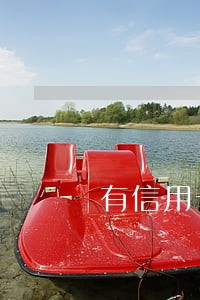 有信用卡逾期可以入党吗 有信用卡逾期可以入党吗