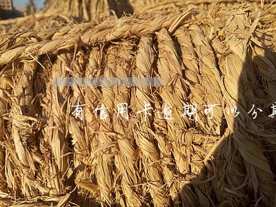 有信用卡逾期可以分期购车吗 有信用卡逾期可以分期购车吗