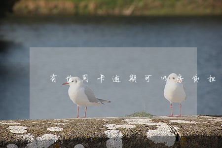 有信用卡逾期可以房贷担保吗 有信用卡逾期可以房贷担保吗