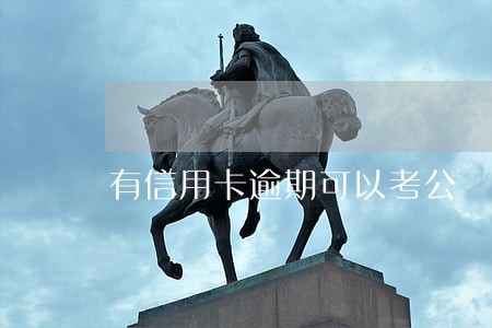 有信用卡逾期可以考公 有信用卡逾期可以考公