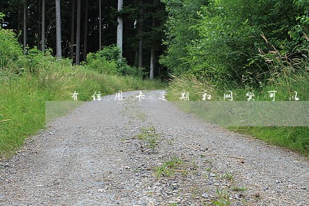 有信用卡逾期和网贷可以办签证吗 有信用卡逾期和网贷可以办签证吗