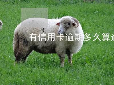 有信用卡逾期多久算逾期