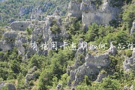 有信用卡逾期如何养征信 有信用卡逾期如何养征信