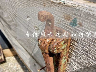 有信用卡逾期如何贷款 有信用卡逾期如何贷款