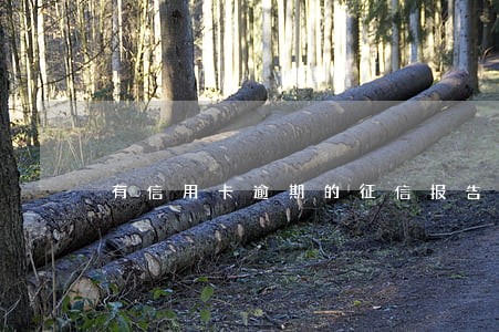 有信用卡逾期的征信报告 有信用卡逾期的征信报告