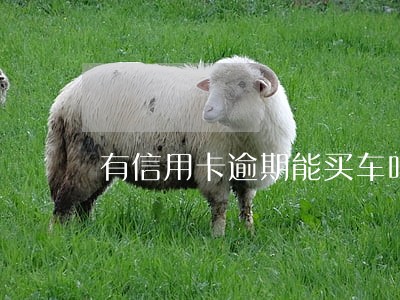 有信用卡逾期能买车吗 有信用卡逾期能买车吗