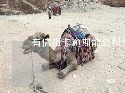 有信用卡逾期能公积金