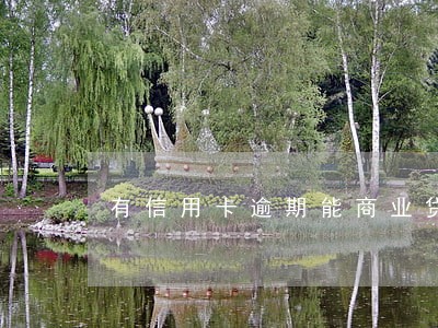 有信用卡逾期能商业贷款 有信用卡逾期能商业贷款