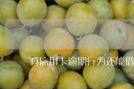 有信用卡逾期行为还能借网贷吗 有信用卡逾期行为还能借网贷吗