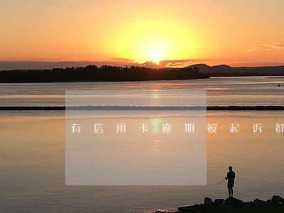有信用卡逾期被起诉群 有信用卡逾期被起诉群