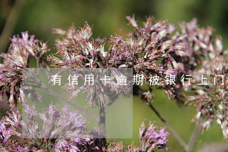 有信用卡逾期被银行上门的么