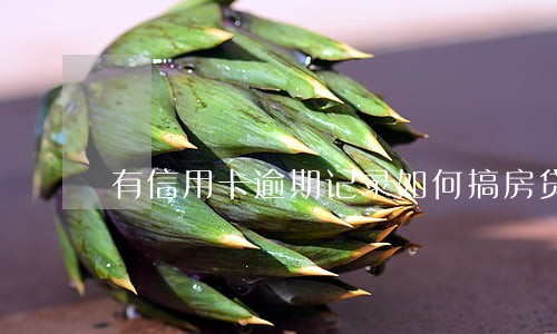 有信用卡逾期记录如何搞房贷 有信用卡逾期记录如何搞房贷