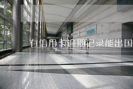 有信用卡逾期记录能出国么 有信用卡逾期记录能出国么