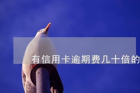 有信用卡逾期费几十倍的吗 有信用卡逾期费几十倍的吗