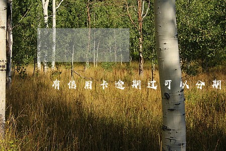 有信用卡逾期过可以分期还款 有信用卡逾期过可以分期还款