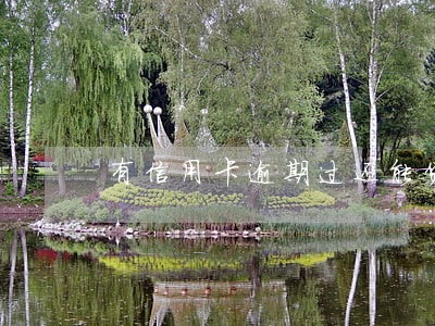 有信用卡逾期过还能贷款吗 有信用卡逾期过还能贷款吗