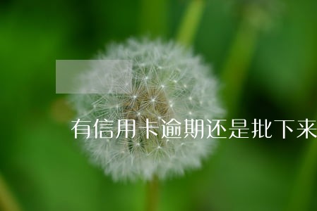 有信用卡逾期还是批下来了 有信用卡逾期还是批下来了