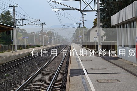 有信用卡逾期还能信用贷嘛 有信用卡逾期还能信用贷嘛