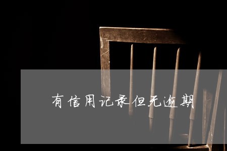 有信用记录但无逾期 有信用记录但无逾期