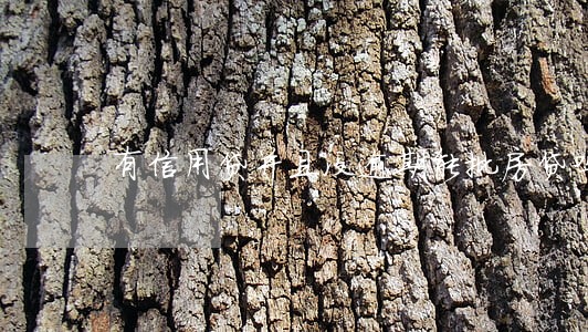 有信用贷并且没逾期能批房贷吗 有信用贷并且没逾期能批房贷吗