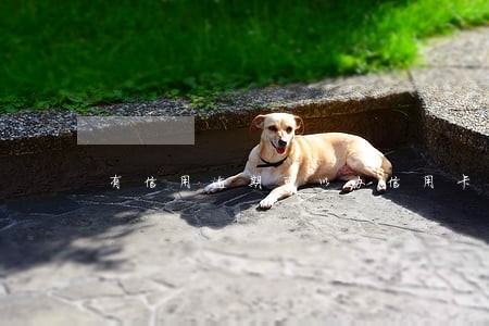 有信用逾期可以办信用卡吗 有信用逾期可以办信用卡吗