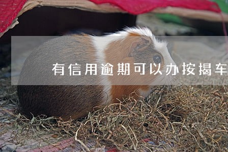有信用逾期可以办按揭车吗 有信用逾期可以办按揭车吗